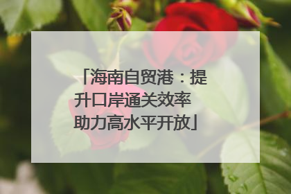 海南自贸港：提升口岸通关效率 助力高水平开放