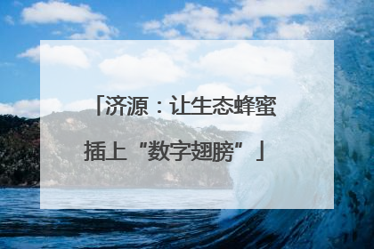 济源：让生态蜂蜜插上“数字翅膀”