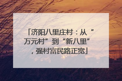 济阳八里庄村：从“万元村”到“新八里”，强村富民路正宽