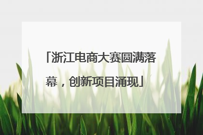 浙江电商大赛圆满落幕，创新项目涌现
