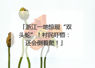 浙江一地惊现“双头蛇”！村民吓懵：还会倒着爬！