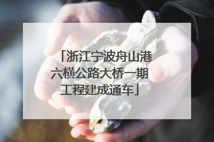 浙江宁波舟山港六横公路大桥一期工程建成通车