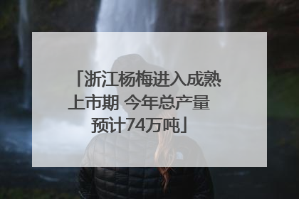 浙江杨梅进入成熟上市期 今年总产量预计74万吨