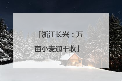 浙江长兴：万亩小麦迎丰收