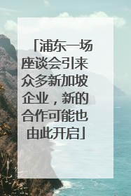 浦东一场座谈会引来众多新加坡企业，新的合作可能也由此开启