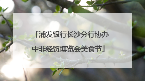 浦发银行长沙分行协办中非经贸博览会美食节