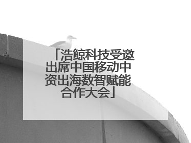 浩鲸科技受邀出席中国移动中资出海数智赋能合作大会