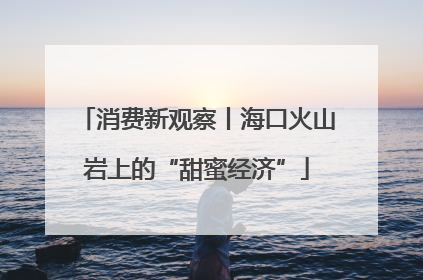 消费新观察丨海口火山岩上的“甜蜜经济”