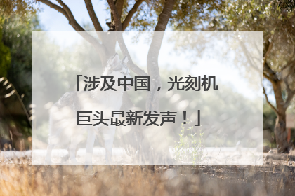涉及中国，光刻机巨头最新发声！