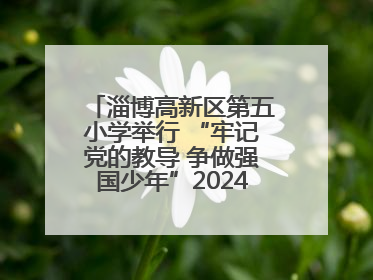 淄博高新区第五小学举行 “牢记党的教导 争做强国少年”2024级分批入队仪式