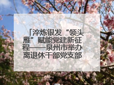 淬炼银发“领头雁”赋能党建新征程——泉州市举办离退休干部党支部书记能力建设专题培训