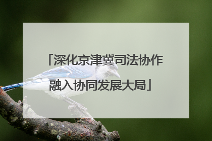 深化京津冀司法协作 融入协同发展大局