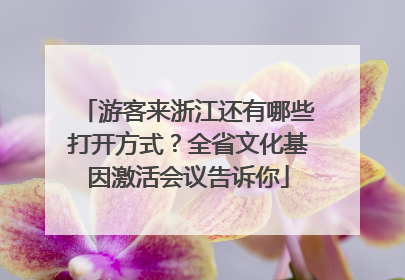 游客来浙江还有哪些打开方式？全省文化基因激活会议告诉你