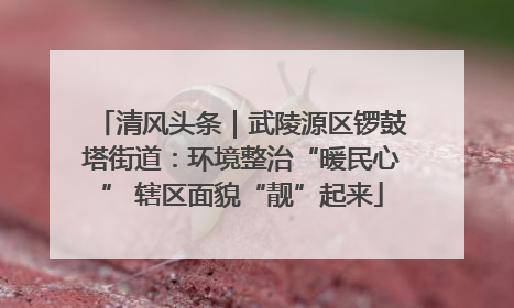 清风头条｜武陵源区锣鼓塔街道：环境整治“暖民心” 辖区面貌“靓”起来