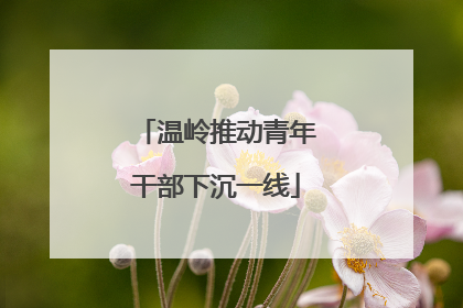 温岭推动青年干部下沉一线