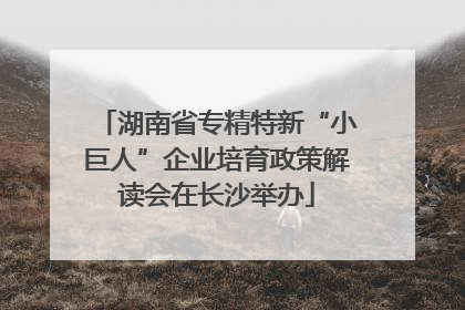 湖南省专精特新“小巨人”企业培育政策解读会在长沙举办