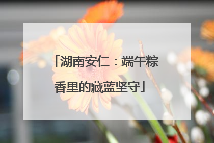 湖南安仁：端午粽香里的藏蓝坚守