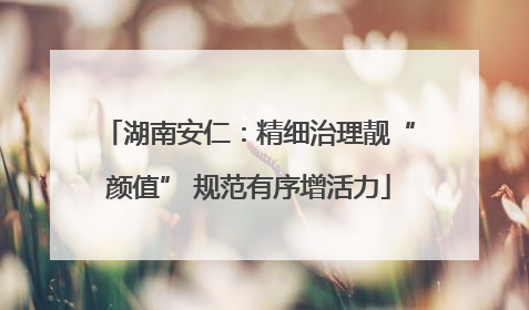 湖南安仁：精细治理靓“颜值” 规范有序增活力