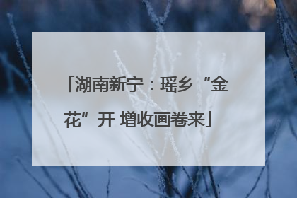 湖南新宁：瑶乡“金花”开 增收画卷来