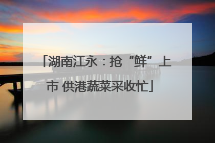 湖南江永：抢“鲜”上市 供港蔬菜采收忙