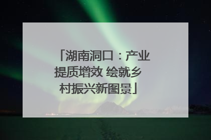 湖南洞口：产业提质增效 绘就乡村振兴新图景