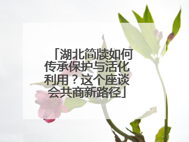 湖北简牍如何传承保护与活化利用？这个座谈会共商新路径