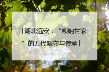 湖北远安：“唢呐世家”的五代坚守与传承
