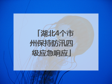 湖北4个市州保持防汛四级应急响应
