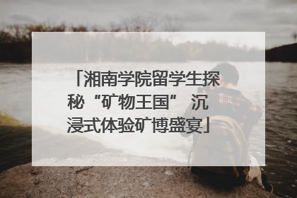 湘南学院留学生探秘“矿物王国” 沉浸式体验矿博盛宴