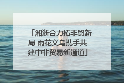 湘浙合力拓非贸新局 雨花义乌携手共建中非贸易新通道