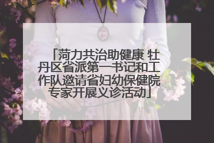 菏力共治助健康 牡丹区省派第一书记和工作队邀请省妇幼保健院专家开展义诊活动