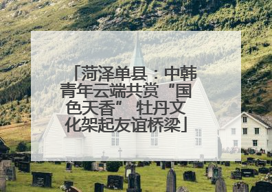 菏泽单县：中韩青年云端共赏“国色天香” 牡丹文化架起友谊桥梁