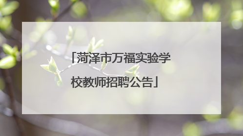 菏泽市万福实验学校教师招聘公告