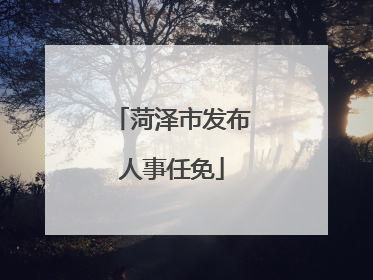 菏泽市发布人事任免