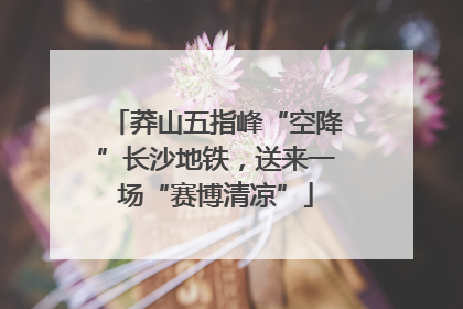 莽山五指峰“空降”长沙地铁，送来一场“赛博清凉”