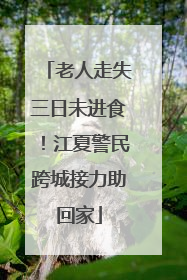 老人走失三日未进食！江夏警民跨城接力助回家