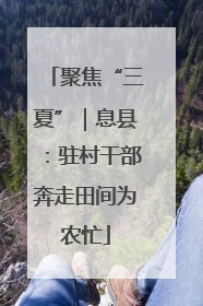 聚焦“三夏”｜息县：驻村干部奔走田间为农忙