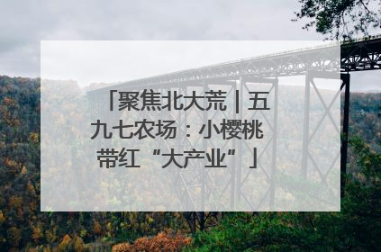 聚焦北大荒｜五九七农场：小樱桃带红“大产业”