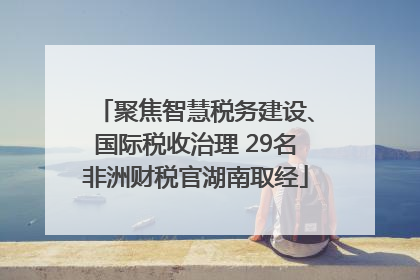 聚焦智慧税务建设、国际税收治理 29名非洲财税官湖南取经