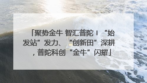 聚势金牛 智汇普陀〡“始发站”发力、“创新田”深耕，普陀科创“金牛”闪耀