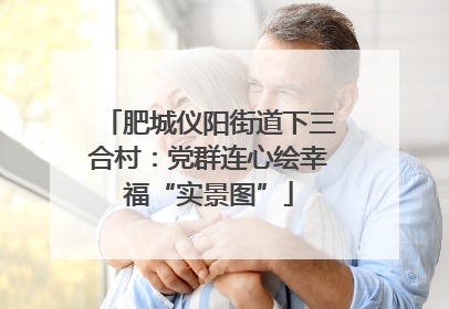 肥城仪阳街道下三合村：党群连心绘幸福“实景图”