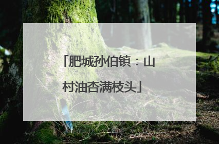 肥城孙伯镇：山村油杏满枝头