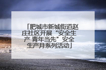肥城市新城街道赵庄社区开展“安全生产 青年当先”安全生产月系列活动
