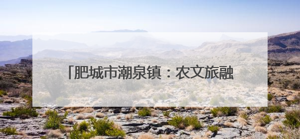 肥城市潮泉镇：农文旅融合绘就乡村振兴新画卷