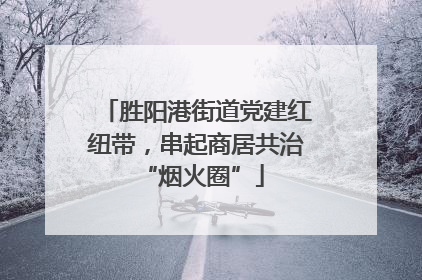 胜阳港街道党建红纽带，串起商居共治 “烟火圈”