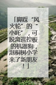 脚踩“风火轮”的“小吒”，可脱离遥控板的机器狗，泡桐树小学来了新朋友！