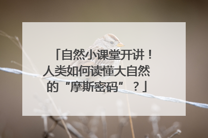 自然小课堂开讲！人类如何读懂大自然的“摩斯密码”？