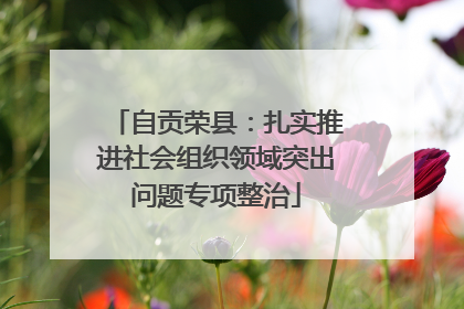 自贡荣县：扎实推进社会组织领域突出问题专项整治