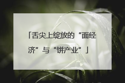 舌尖上绽放的“面经济”与“饼产业”