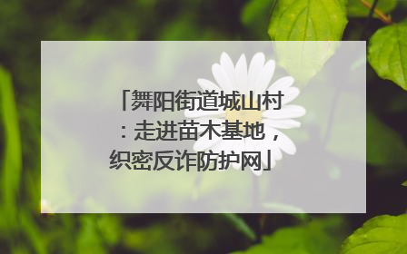 舞阳街道城山村：走进苗木基地，织密反诈防护网